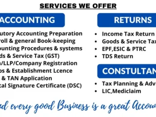 tax and accounting consultant