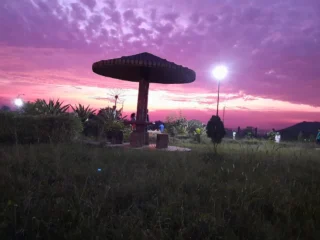 the hidden park